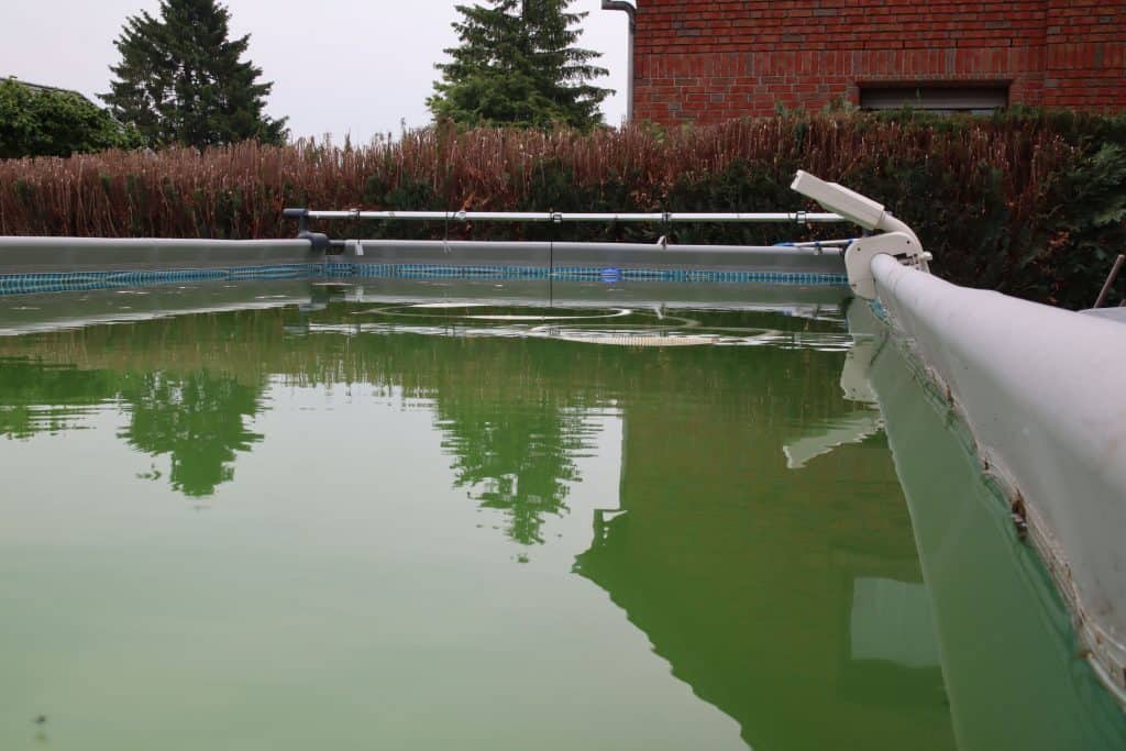 Pool grünes Wasser
