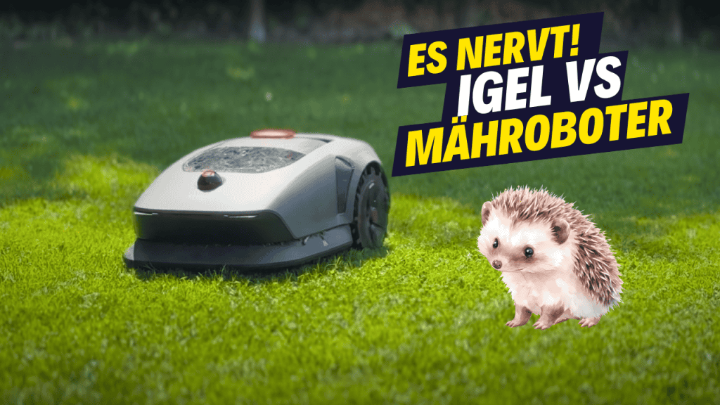 Es nervt!